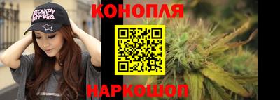 Альфа ПВП Камышлов