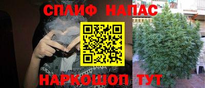 мяу мяу мука Ипатово