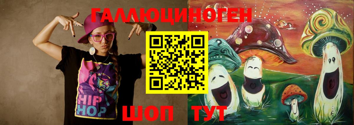 Клин  Псилоцибиновые грибы Psilocybe  Вход с VPN 
